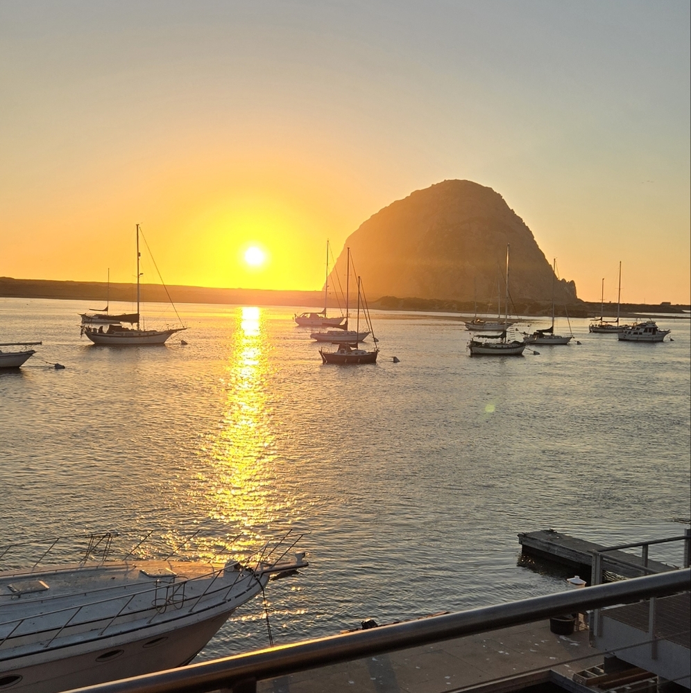 Meet your Posher, Laurel